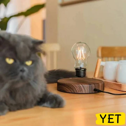 Magnetic Levitation Bulb